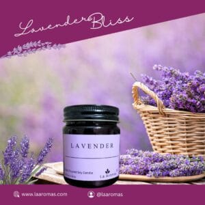 La Aromas Lavender Candle